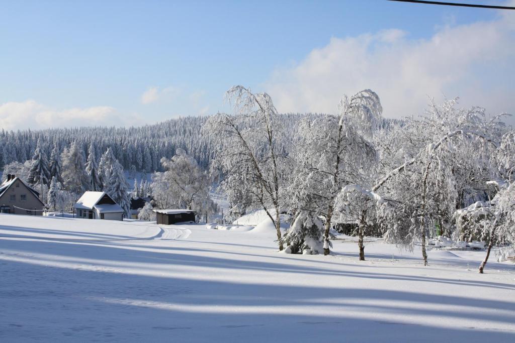 Ferienhotel Mühlleithen Klingenthal Exterior foto