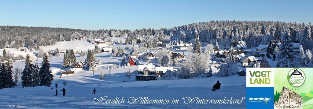 Ferienhotel Mühlleithen Klingenthal Exterior foto